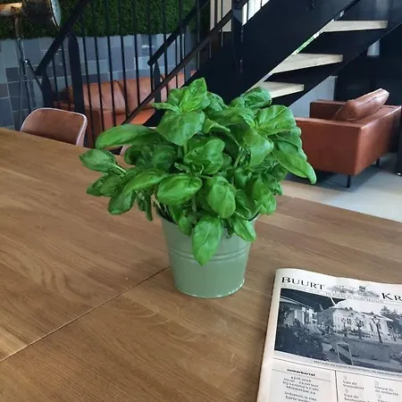 Boutique D'oude Morsch Hotel