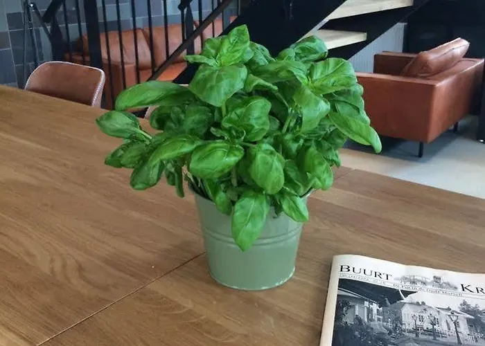 Boutique Hotel D'Oude Morsch Ξενοδοχείο